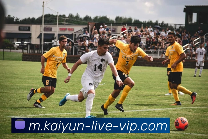 App Interface Preview